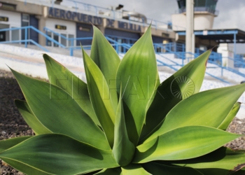 El Aeropuerto de Melilla en la actualidad.