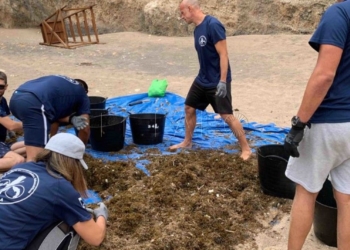 Limpieza en Playa de Galápagos el sábado 11 de junio.