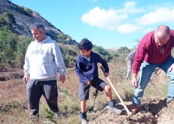 Reforestación en rio de Oro.